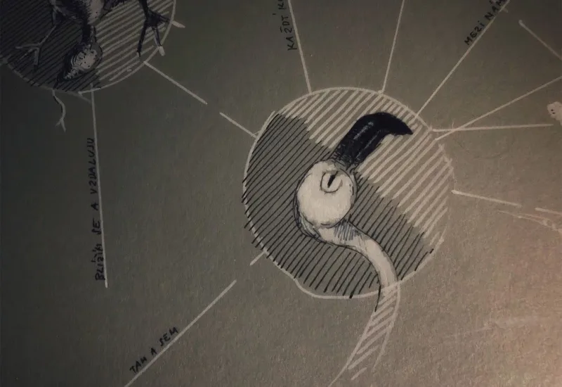 DIRA — detail 4