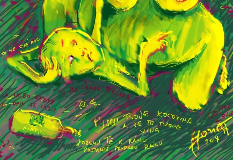 KOCOVINA — detail 2