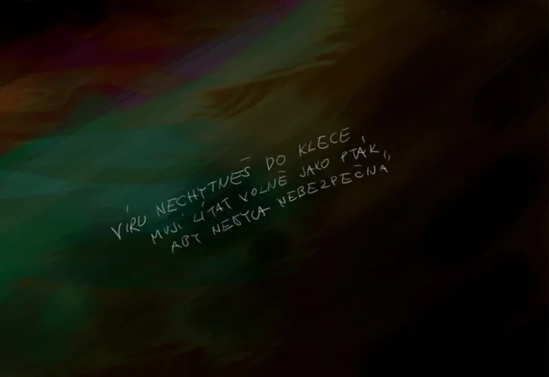 OLEJ NA PLÁTNĚ — detail 2