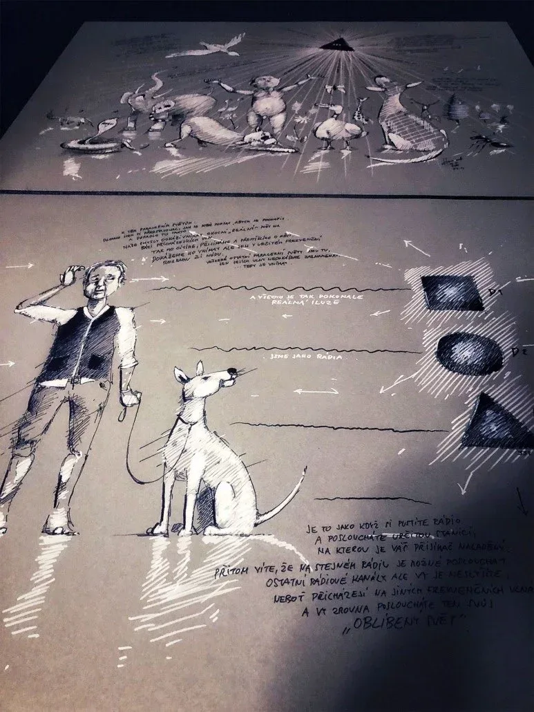 VLNA — detail 4