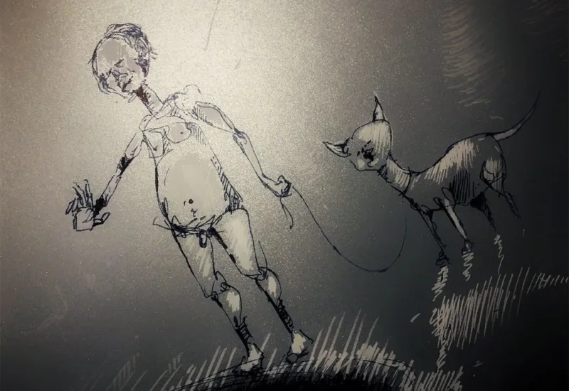 DIRA — detail 3