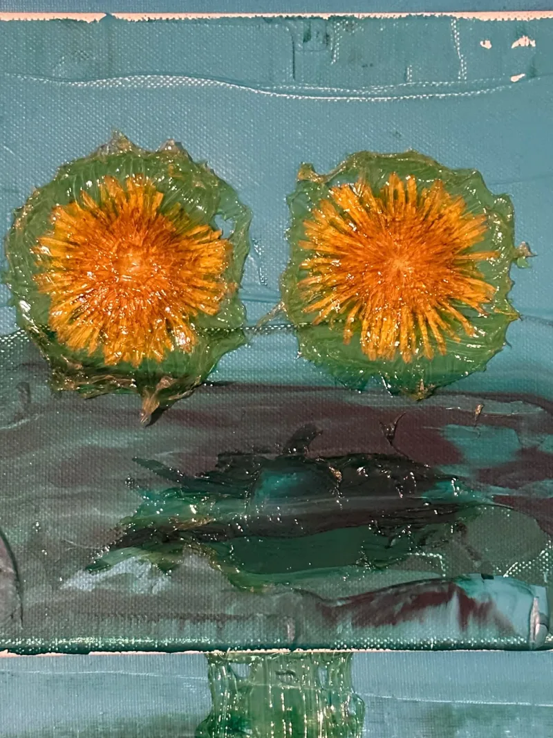SLUNÍČKÁŘ — detail 2