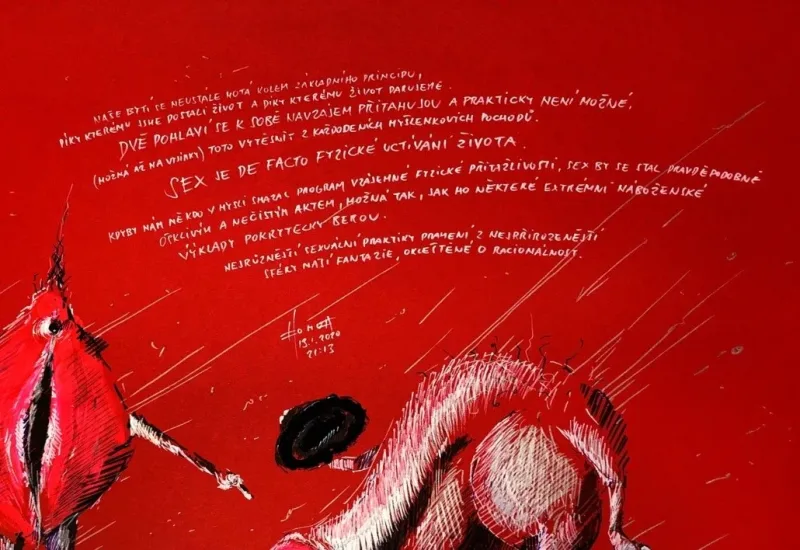 MEZI NIMA — detail 3