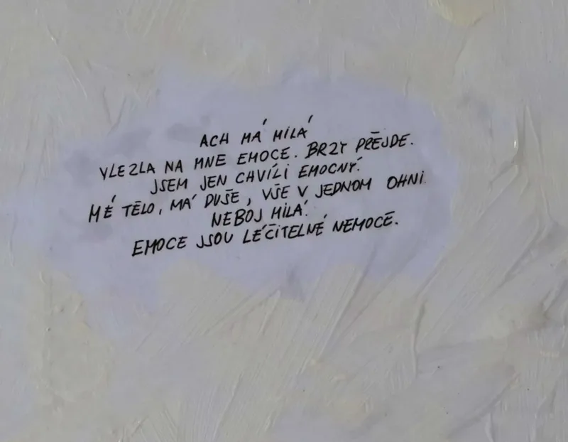 MULITIINSTRUMENTALISTA — detail 3