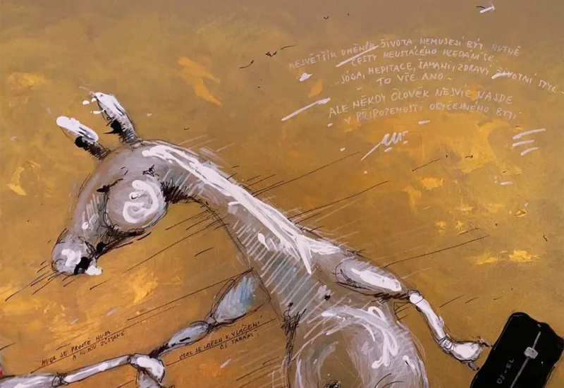 OSELA A HUSA — detail 2